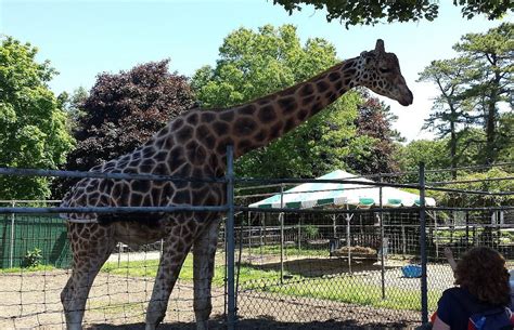 Long Island Game Farm.